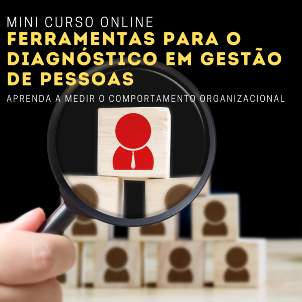 Curso online ferramentas para o diagnóstico em gestão de pessoas_sem_logo